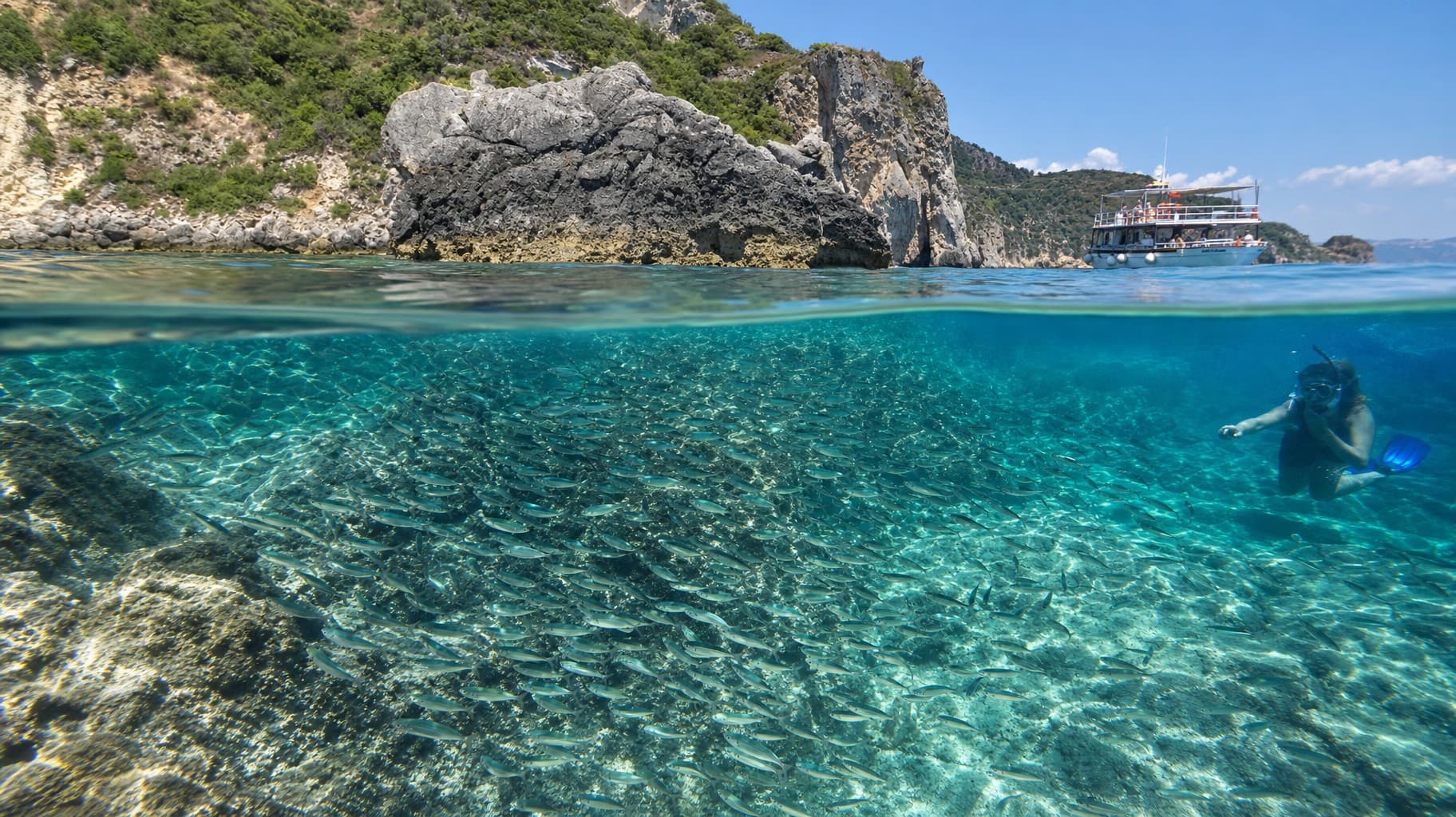 bbq-snorkeller-and-silver-fish-shoal-split-view