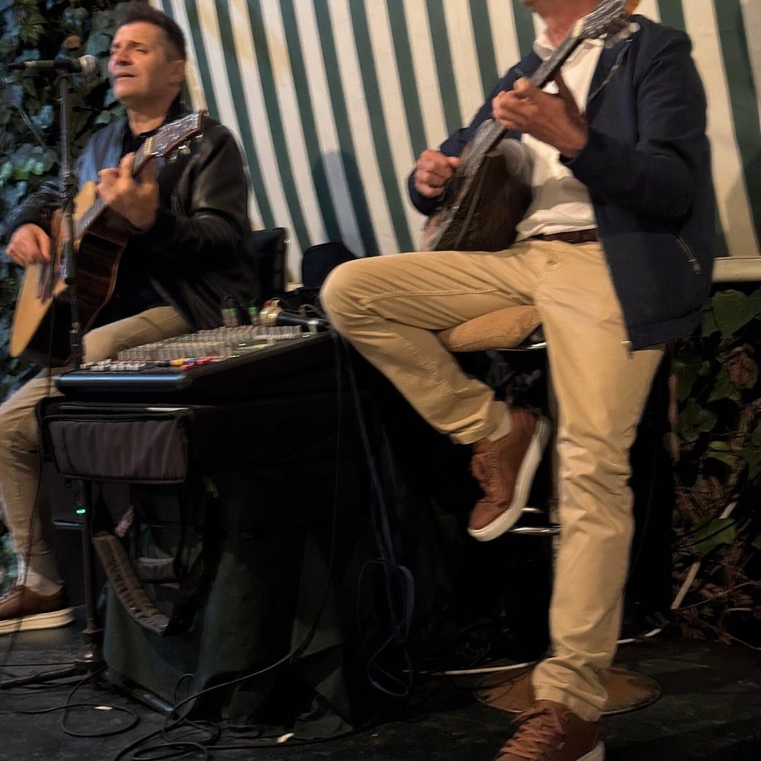 musicians