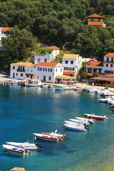 paxos island 1